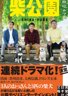 柴公園